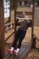 Wooden Fitness Body Power